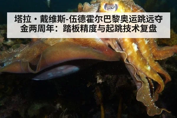 塔拉·戴维斯-伍德霍尔巴黎奥运跳远夺金两周年：踏板精度与起跳技术复盘