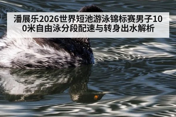 潘展乐2026世界短池游泳锦标赛男子100米自由泳分段配速与转身出水解析